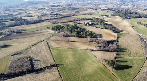 Exploitation céréalière dans les Cévènnes